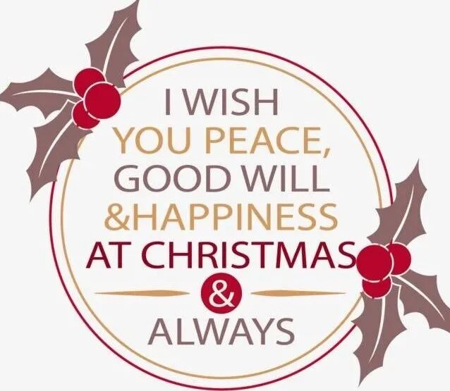 圣诞树英文_English vocabulary for Christmas_Christmas traditions