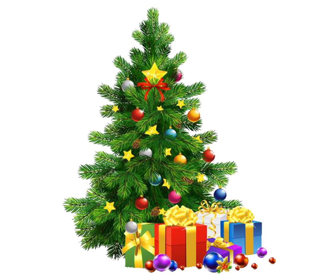 圣诞树英文_Christmas traditions_English vocabulary for Christmas