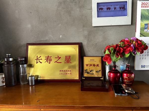合肥十大新闻人物_合肥最长寿老人楚学珍 长寿秘诀 生活规律 心态平和
