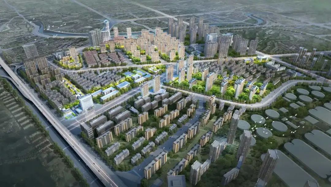 合肥十大新闻人物_巢湖水质创历史最好水平_2023合肥十大民生新闻