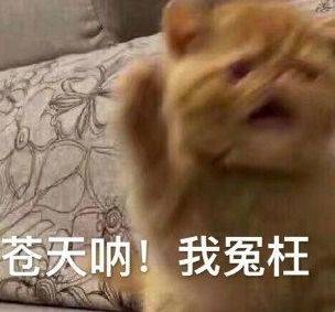 未备案APP下架关停_APP备案流程详解_百度会收录没备案