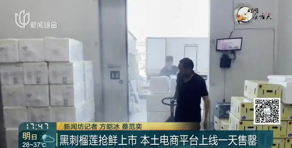 上海榴莲品种丰富价格实惠_夏季榴莲价格下降_榴莲降至15元一斤