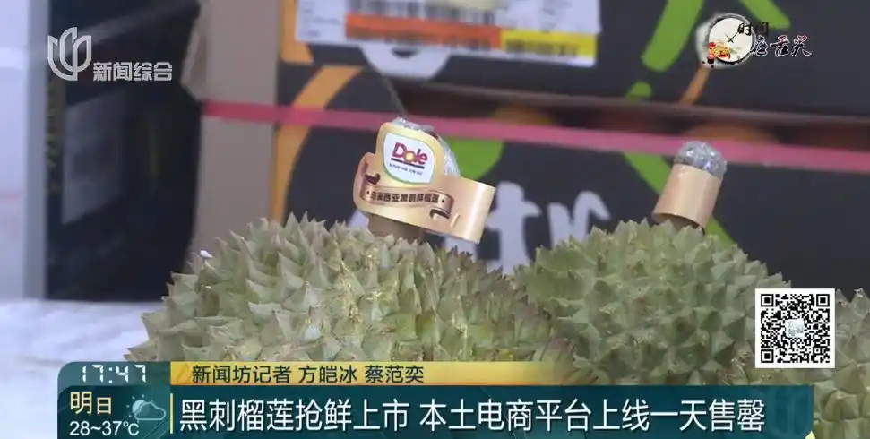 夏季榴莲价格下降_榴莲降至15元一斤_上海榴莲品种丰富价格实惠