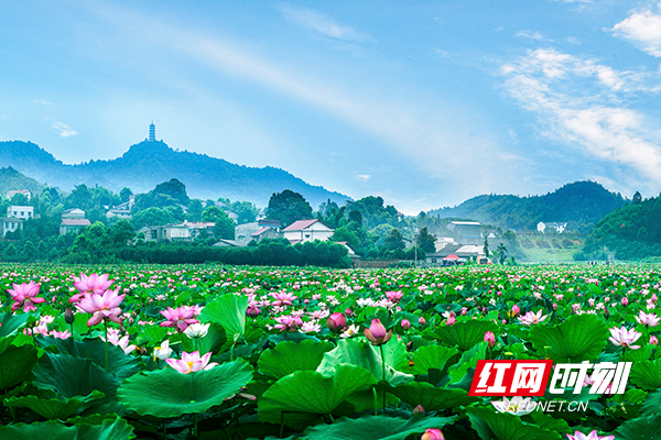 株洲红色旅游发展大会_株洲炎帝陵旅游_株洲观音岩