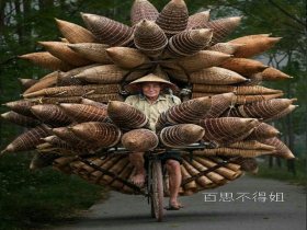 造 句 网是一部在线造句词典,其宗旨是让大家更快地造出更优质的句子