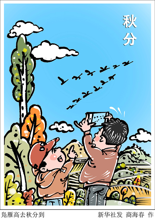 秋分三候含义_秋分节气习俗_今日秋分 吃这些食物最养生