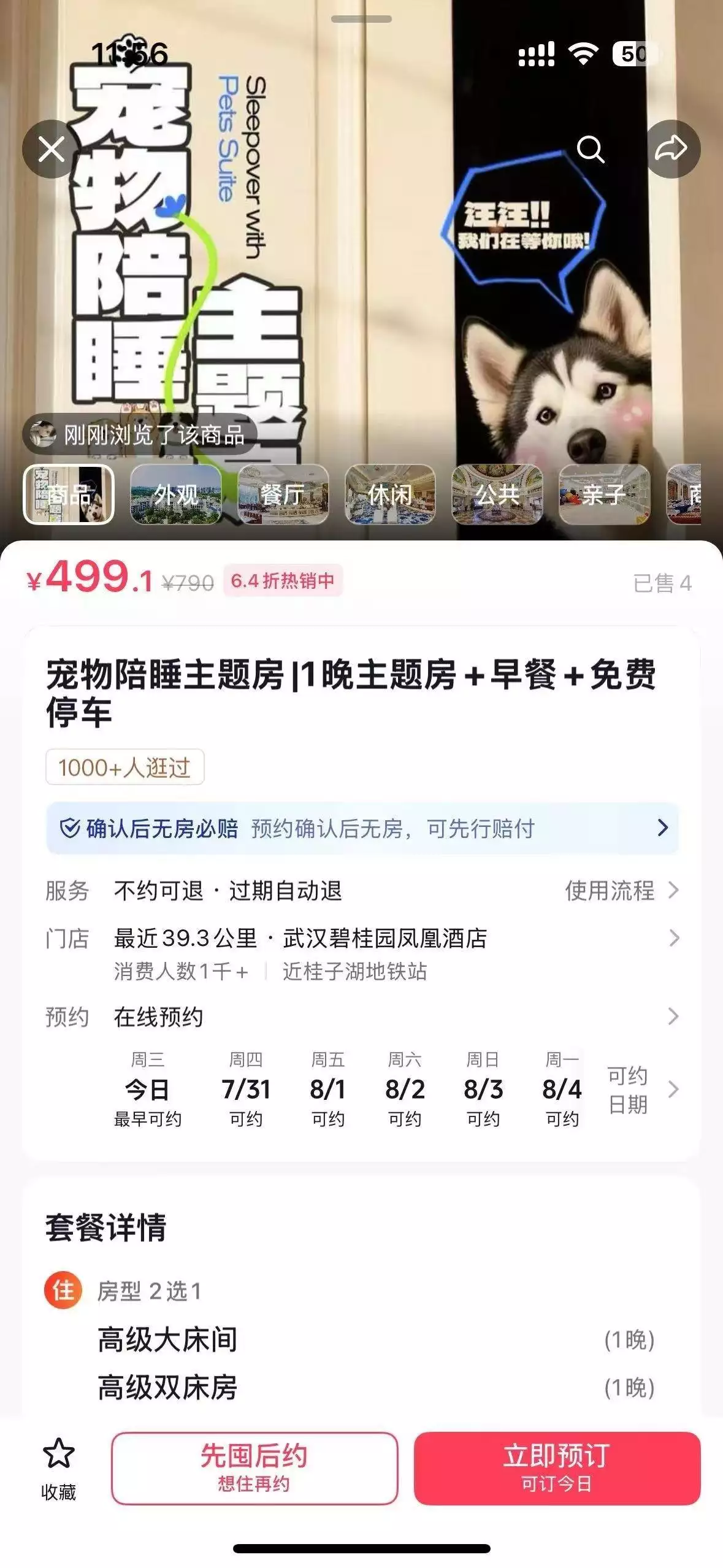 酒店推“宠物陪睡”服务，每只“陪睡犬”日薪100元