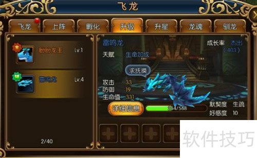 精灵猎手_精灵猎人飞龙系统攻略_精灵猎人飞龙养成方法