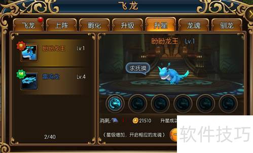 精灵猎人飞龙养成方法_精灵猎人飞龙系统攻略_精灵猎手
