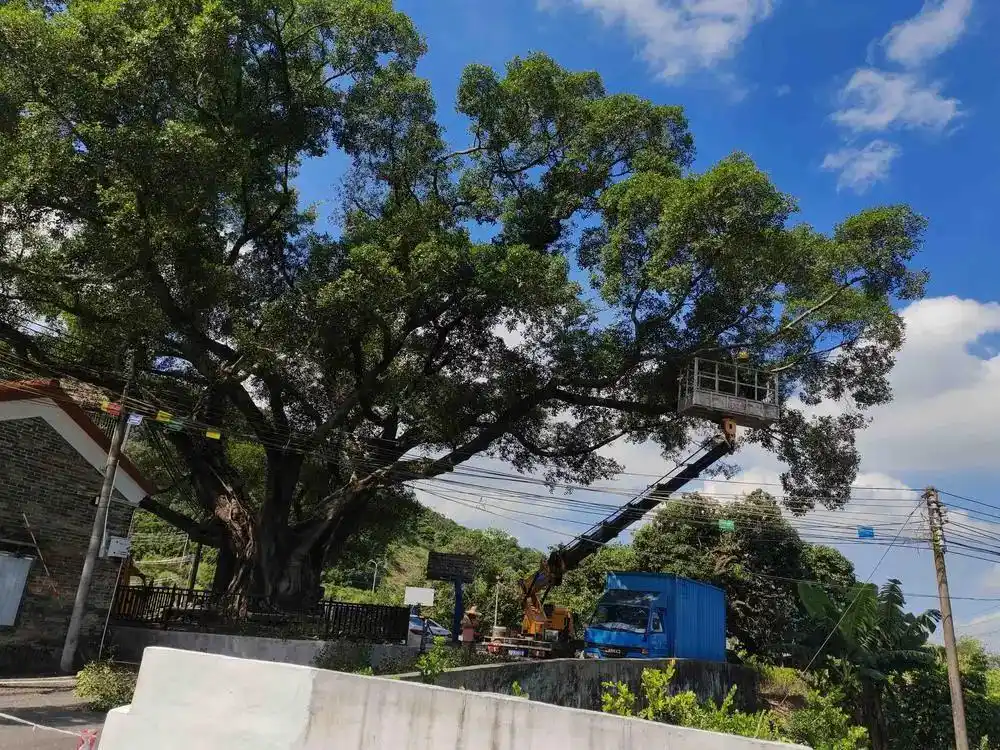 白云区台风防御_广州白云区台风预警_现场直击广州巨灾防御准备工作