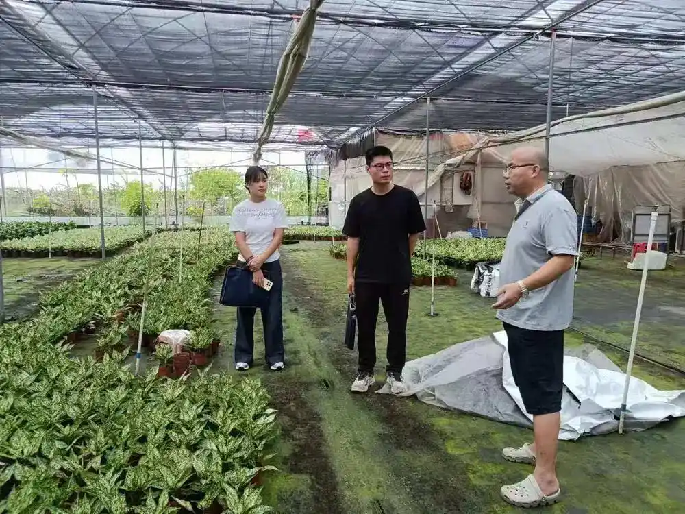 广州白云区台风预警_现场直击广州巨灾防御准备工作_白云区台风防御