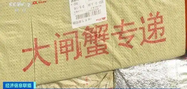 大闸蟹坐“头等舱”24小时飞抵餐桌_大闸蟹物流运输_阳澄湖大闸蟹发货_香港消费者北上尝鲜