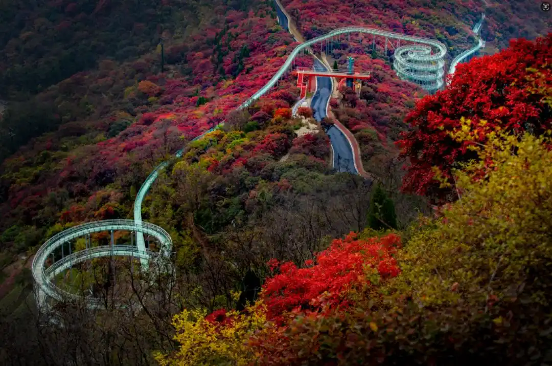 这些赏红叶的“出片宝地”藏不住了_博山红叶观赏地点_博山红叶最佳时间