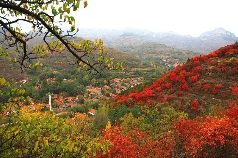 博山红叶最佳时间_博山红叶观赏地点_这些赏红叶的“出片宝地”藏不住了