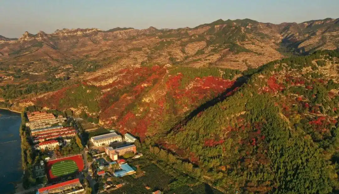 这些赏红叶的“出片宝地”藏不住了_博山红叶最佳时间_博山红叶观赏地点