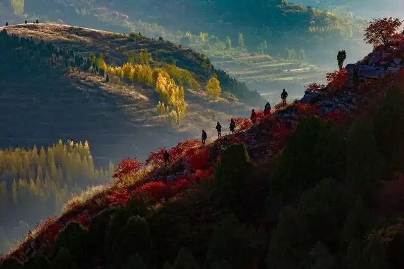 博山红叶观赏地点_这些赏红叶的“出片宝地”藏不住了_博山红叶最佳时间