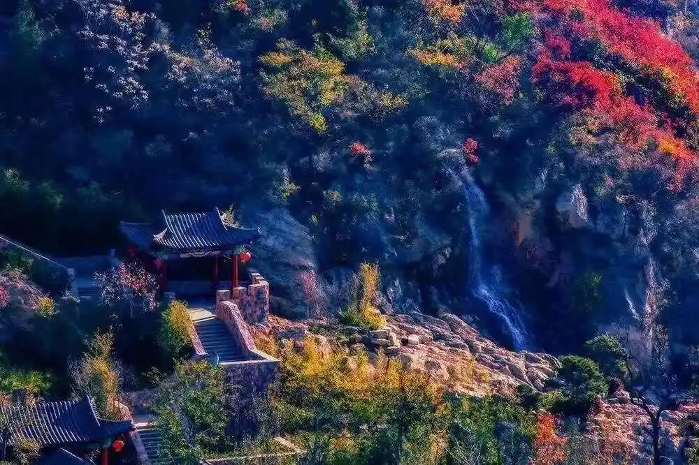 博山红叶最佳时间_这些赏红叶的“出片宝地”藏不住了_博山红叶观赏地点