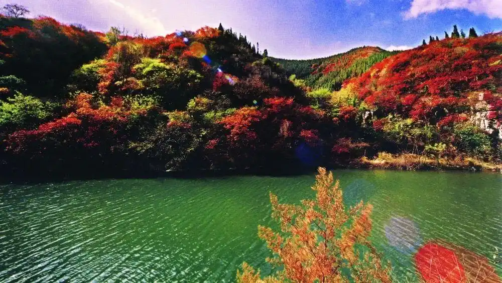 博山红叶观赏地点_博山红叶最佳时间_这些赏红叶的“出片宝地”藏不住了