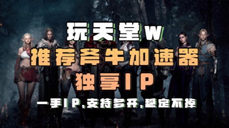 天堂1私服加速器_天堂W多开攻略_斧牛加速器