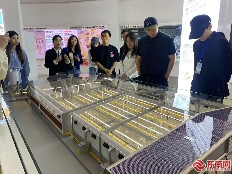 圣农白羽肉鸡育种_中国每年吃掉约70亿只白羽肉鸡_圣农901肉鸡品种