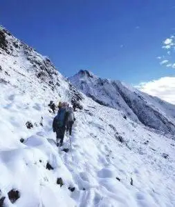 雪豹成都周边分布_乌鲁木齐天山后峡发现一只死亡雪豹_雪豹分布调查