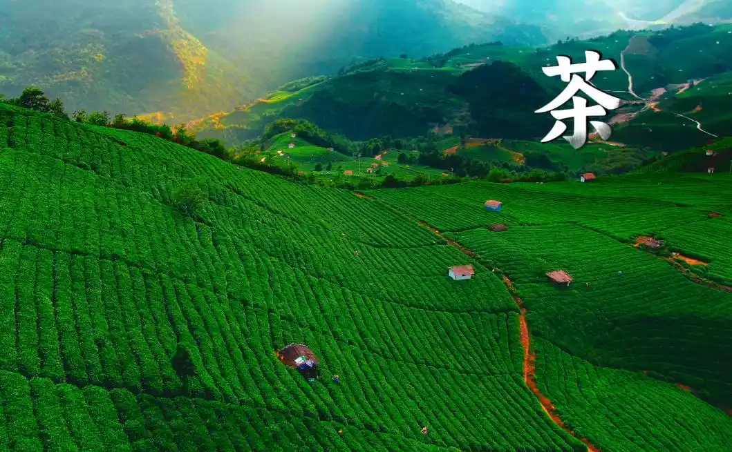 贵州丰收景象_贵州晒秋活动_丰收时节感悟总书记的“三农”情怀