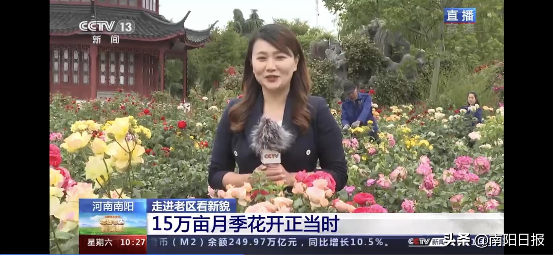 南阳央视报道_南阳市美丽之都现状_南阳红色历史文化