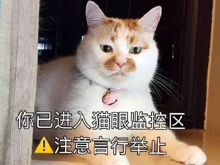 游戏比女孩子好玩_小伙子错了怎么让女孩子开心呢？_游戏与女孩子的选择