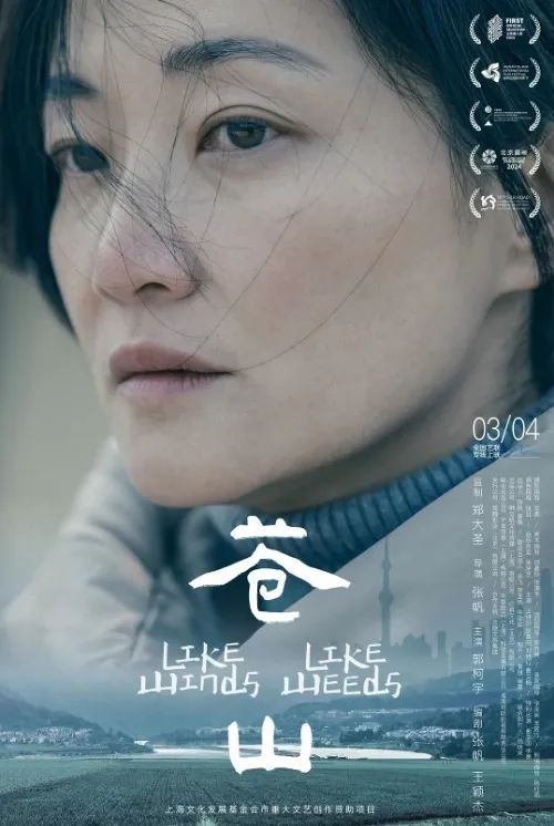 女性叙事电影_浪漫爱情电影_最近新上的电影有哪些