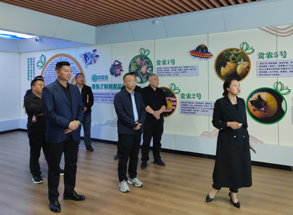 六盘水市人大社建委调研_群众对六盘水综治环境变好的感想的新闻稿件_六盘水市人大监督