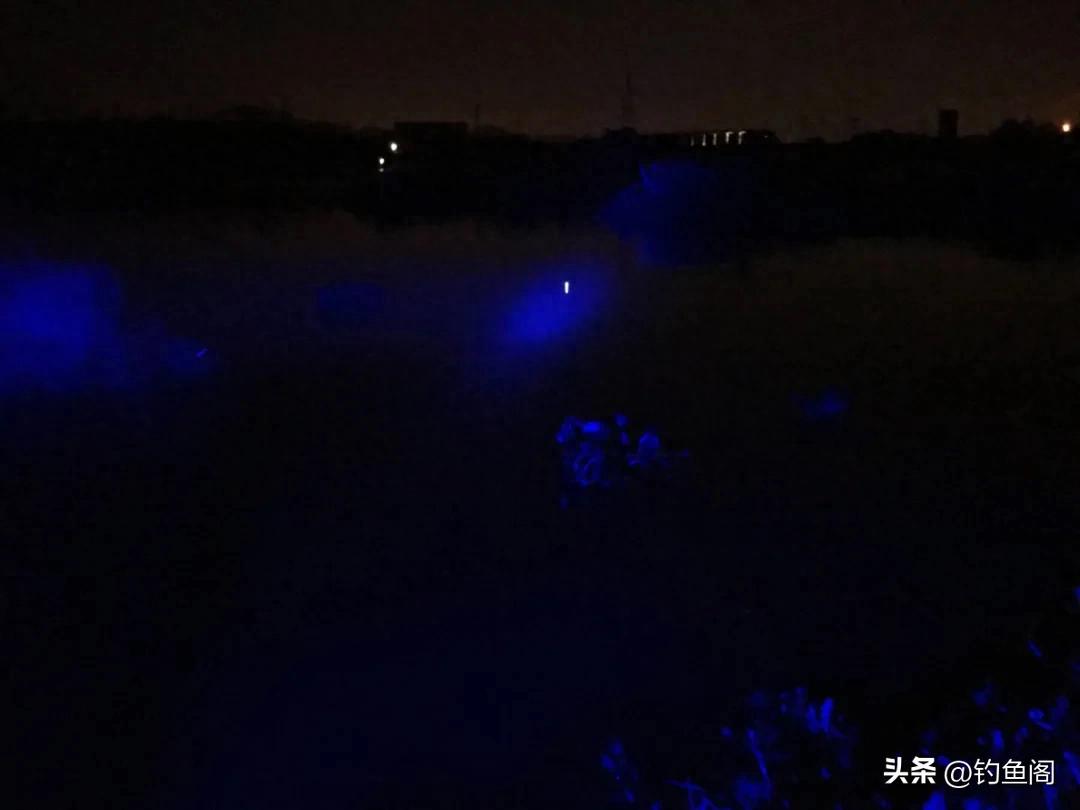别再问轻口鱼怎么钓了!我只有这些“土办法” 别再问轻口鱼怎么钓了!我只有这些“土办法”