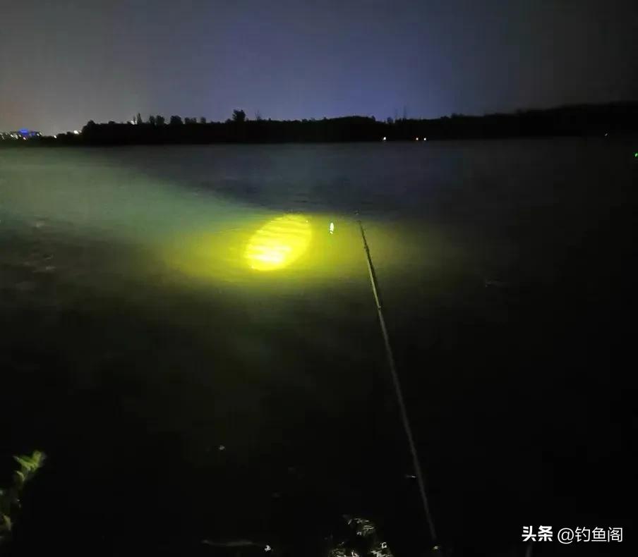 换活饵钓法技巧_秋季钓鲫鱼轻口应对_钓鱼鱼