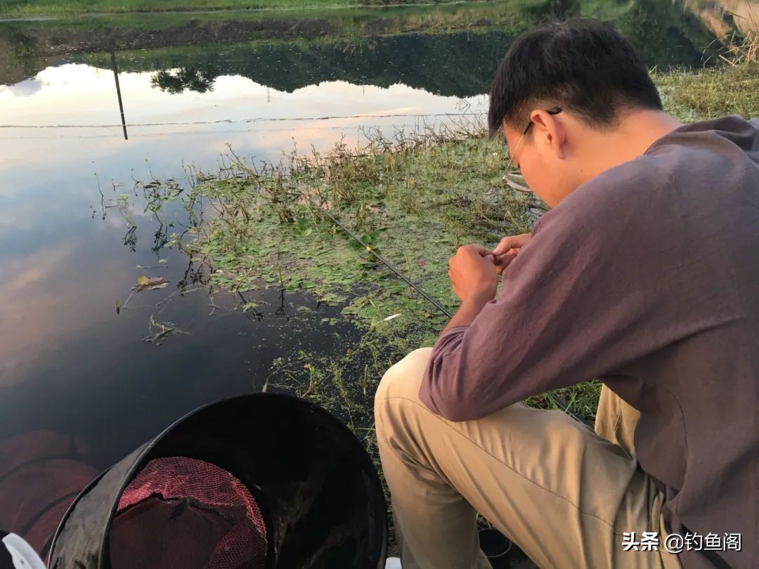 钓鱼中的“黑话”知多少?能听懂10个以上的是老钓手 钓鱼中的“黑话”知多少?能听懂10个以上的是老钓手