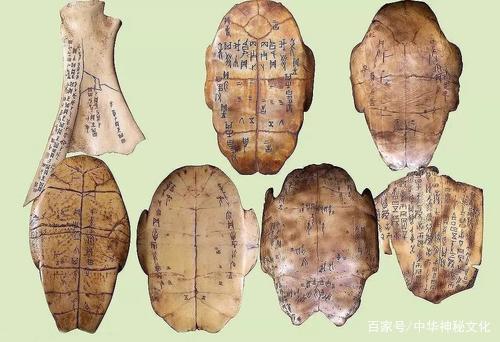 龟甲占卜方法_占卜历史发展_占卜