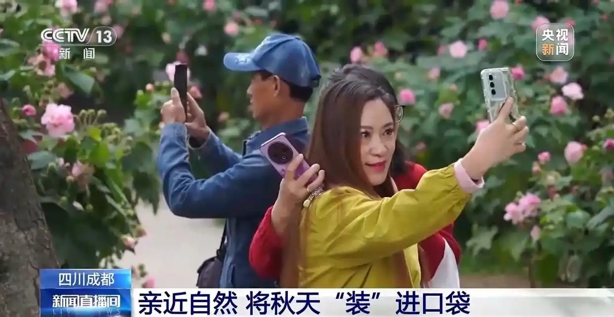 “捡秋”有风险 “尝鲜”需谨慎!牢记这些可避隐患 “捡秋”有风险 “尝鲜”需谨慎!牢记这些可避隐患