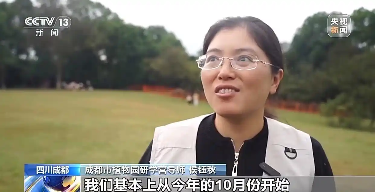成都捡秋安全指南_“捡秋”有风险 尝鲜需谨慎_成都捡秋活动