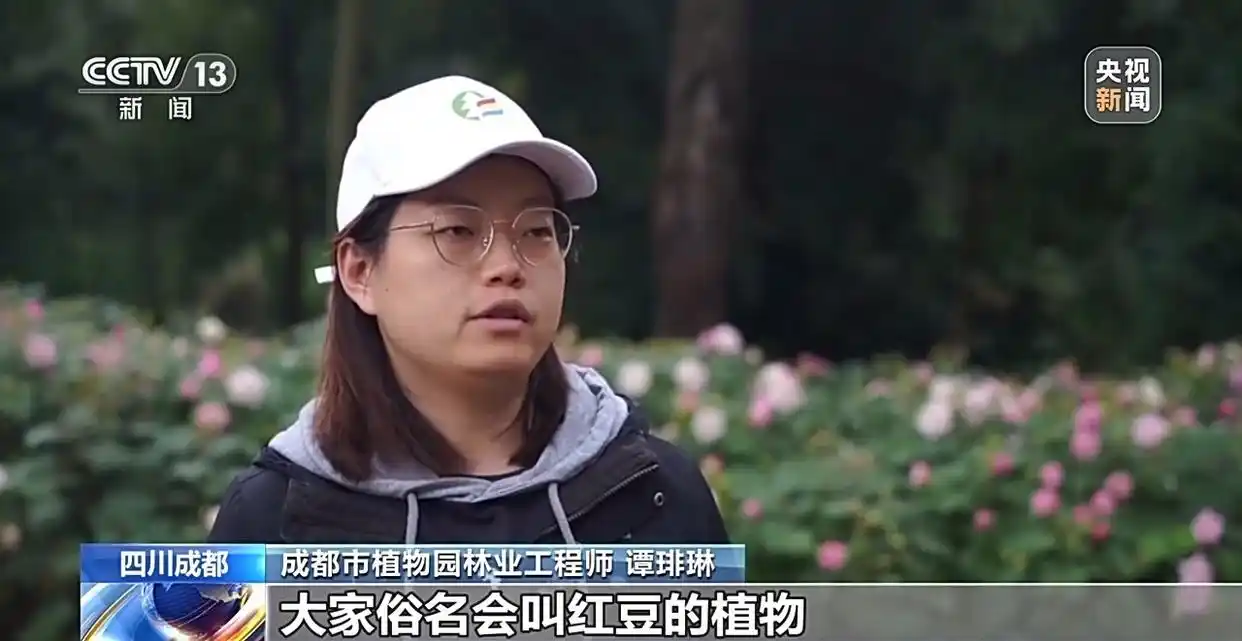 成都捡秋安全指南_成都捡秋活动_“捡秋”有风险 尝鲜需谨慎
