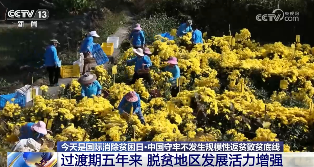 中国脱贫攻坚过渡期_脱贫地区产业发展_扶贫网系统什么时候开