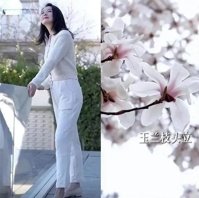 王艳婆婆去世真相_王艳豪门生活揭秘_王志才比王艳大多少