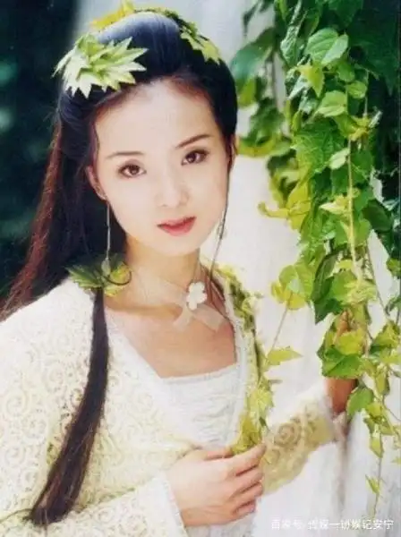王艳婚姻幸福吗_王艳豪门生活_王志才比王艳大多少