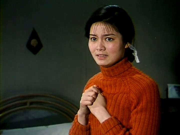 洪融杨延晋儿子_杨延晋 传记 李芸 洪融 爱情故事