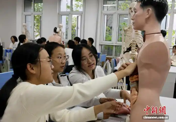 高校婴幼儿发展与健康管理专业_多所大学开设“带娃专业”_山东女子学院托育人才培养