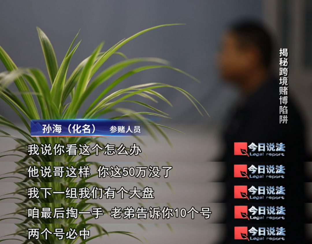 369彩票赌博网站_博彩网站测评_赌博网站内部消息