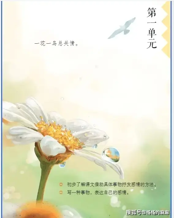 五年级语文核心知识点梳理_五年级上册语文课文书_2025新统编版五年级语文上册电子课本