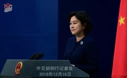 盘点2018年外交天团“霸气回应”，内容引起极度舒适