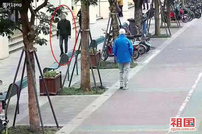 我为群众办实事︱深圳南山警方抓获一故意“碰瓷”路人，敲诈勒索的惯犯