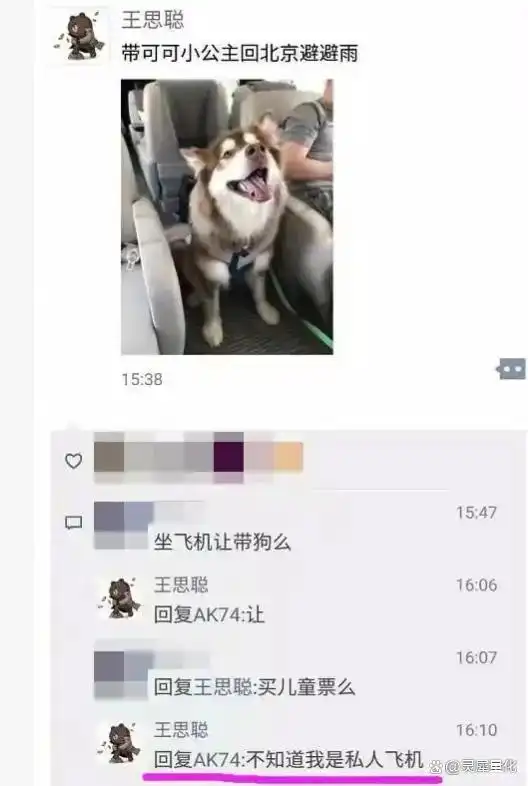 王健林“限高”措施已取消_限高令 被执行人 家庭成员