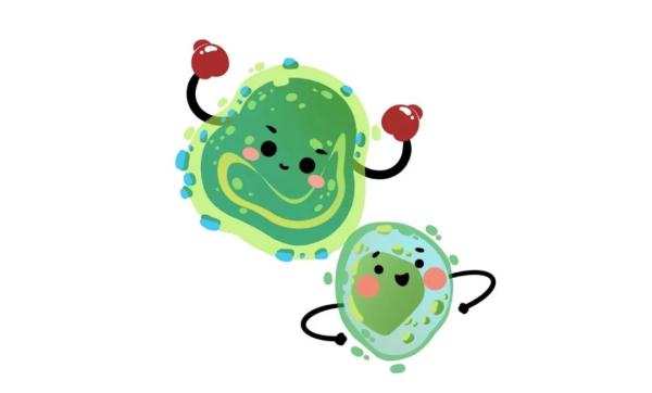 ige_青霉素皮试阳性怎么办_青霉素皮试误区