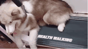 古代减肥方法_用什么洗澡可以减肥_华佗五禽戏