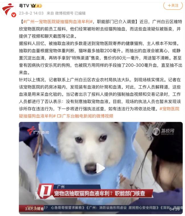 宠物医院实习员工曾搜证爆料血猫 违规售血遭罚 宠物医院实习员工曾搜证爆料血猫 违规售血遭罚